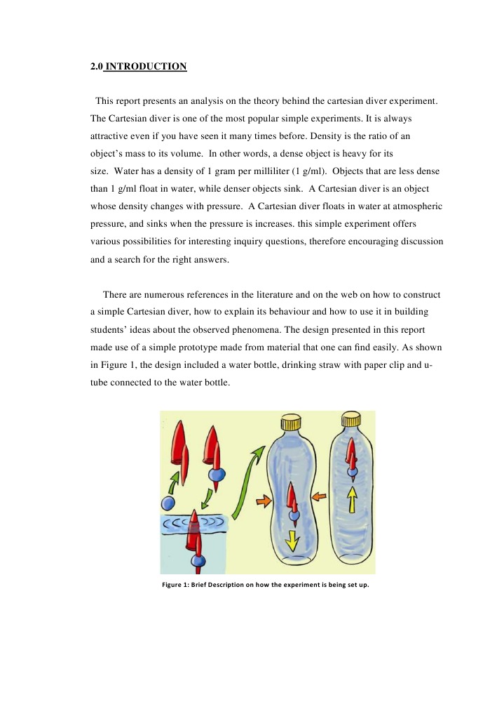 Cartesian Diver Experiment Analysis | PDF