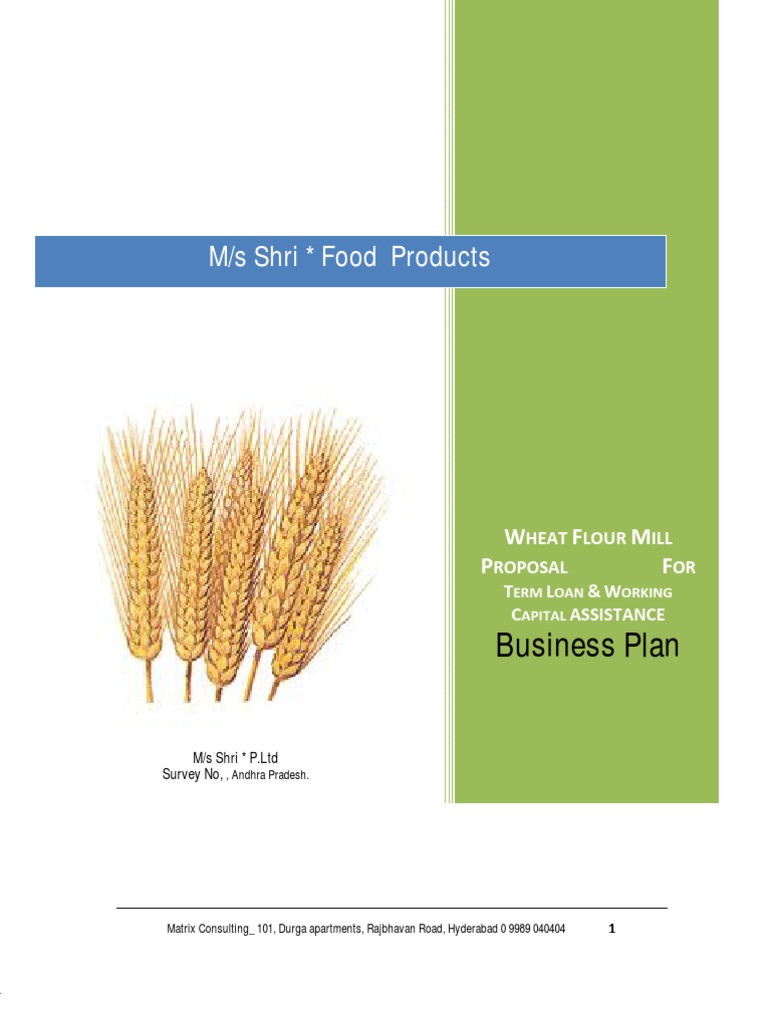 small scale flour mill business plan