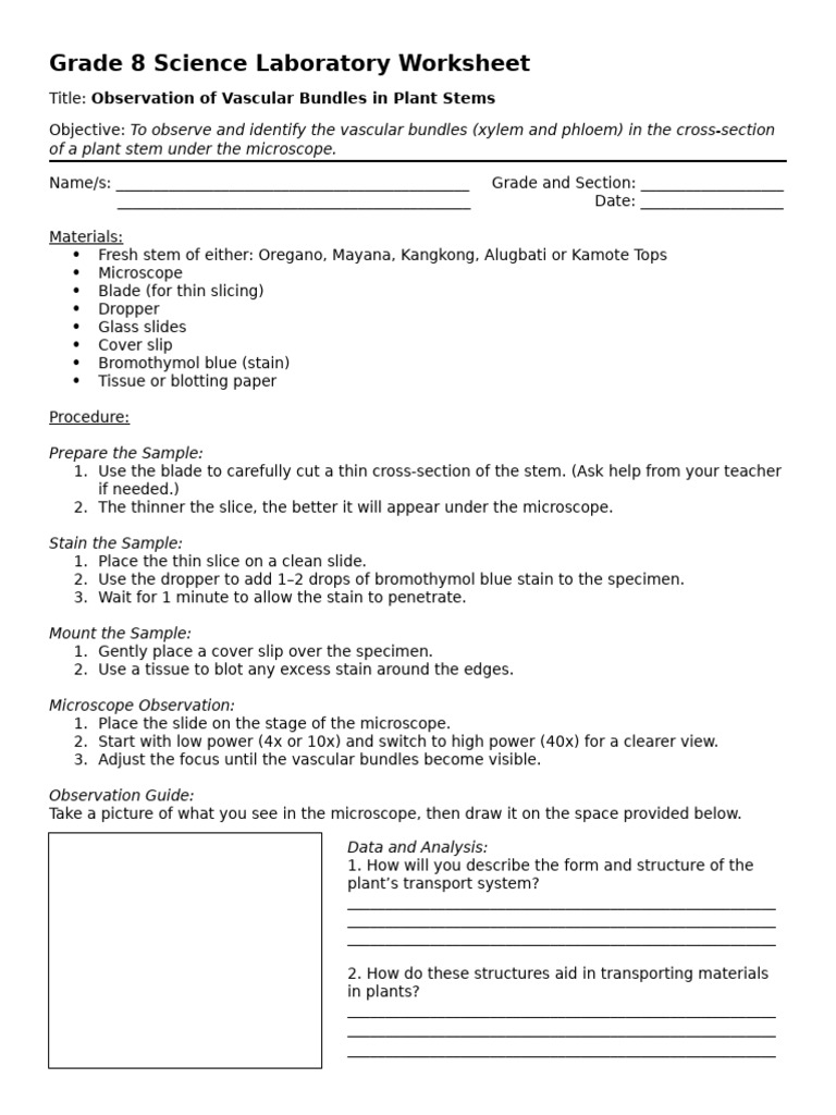 Grade 8 Plant Structure Lab Worksheet | PDF | Plant Stem | Microscope