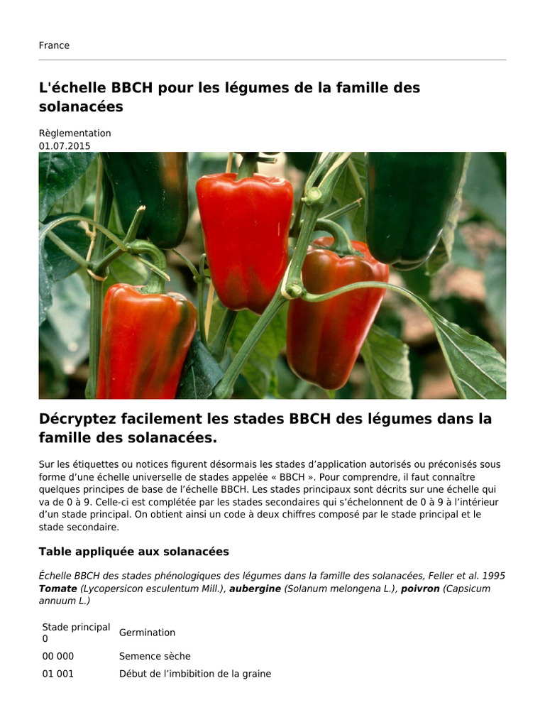 Échelle BBCH des solanacées en France | PDF | Tomate | Plantes