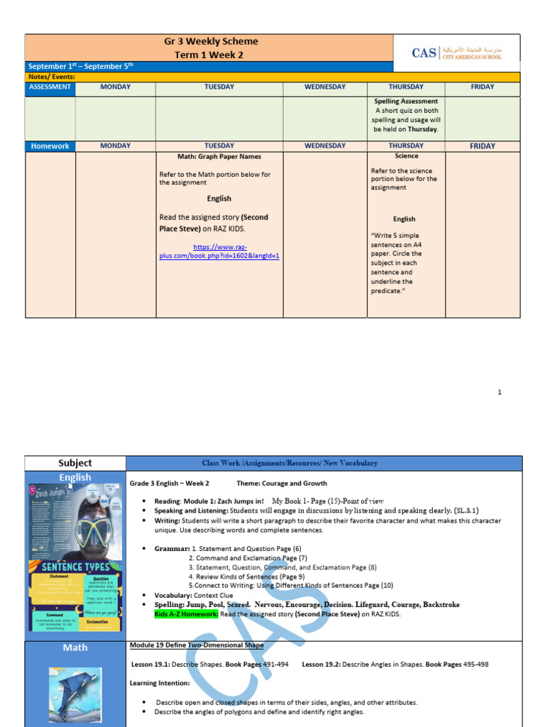 Grade 3 Term 1 Week 2 Plan | PDF | Force | Sentence (Linguistics)