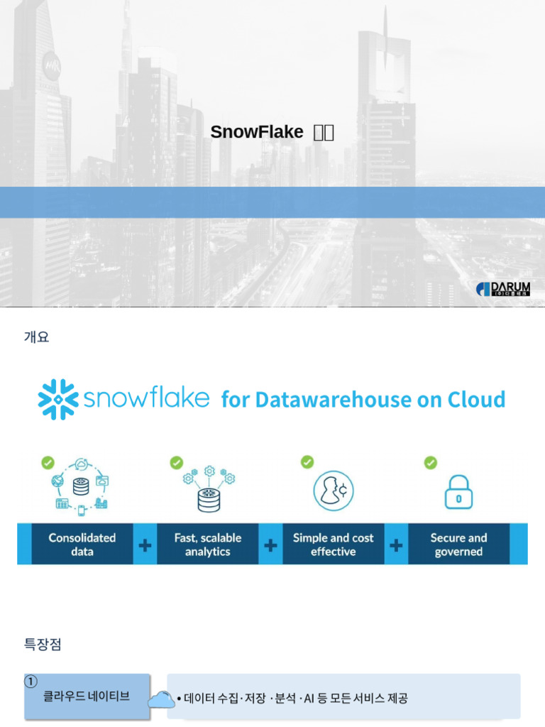 SnowFlake Overview and Customer Insights | PDF