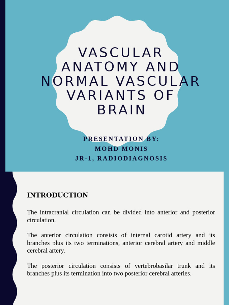 Vascular Anatomy of Brain and Variants | PDF | Vein | Angiology