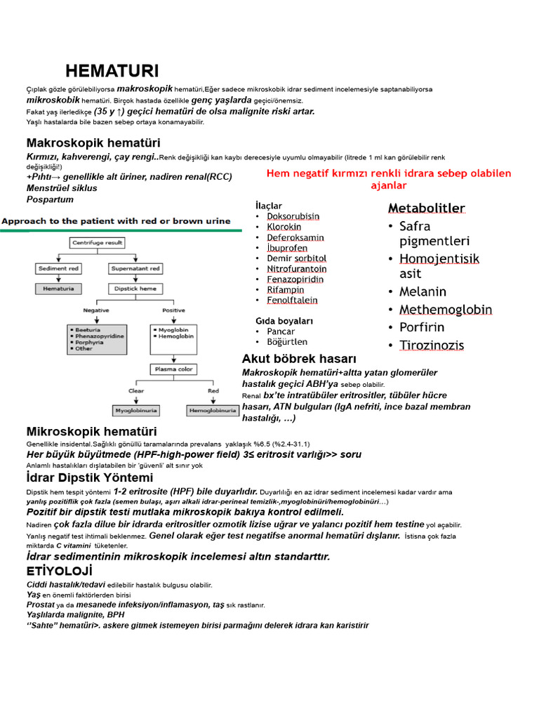hematuri-pdf