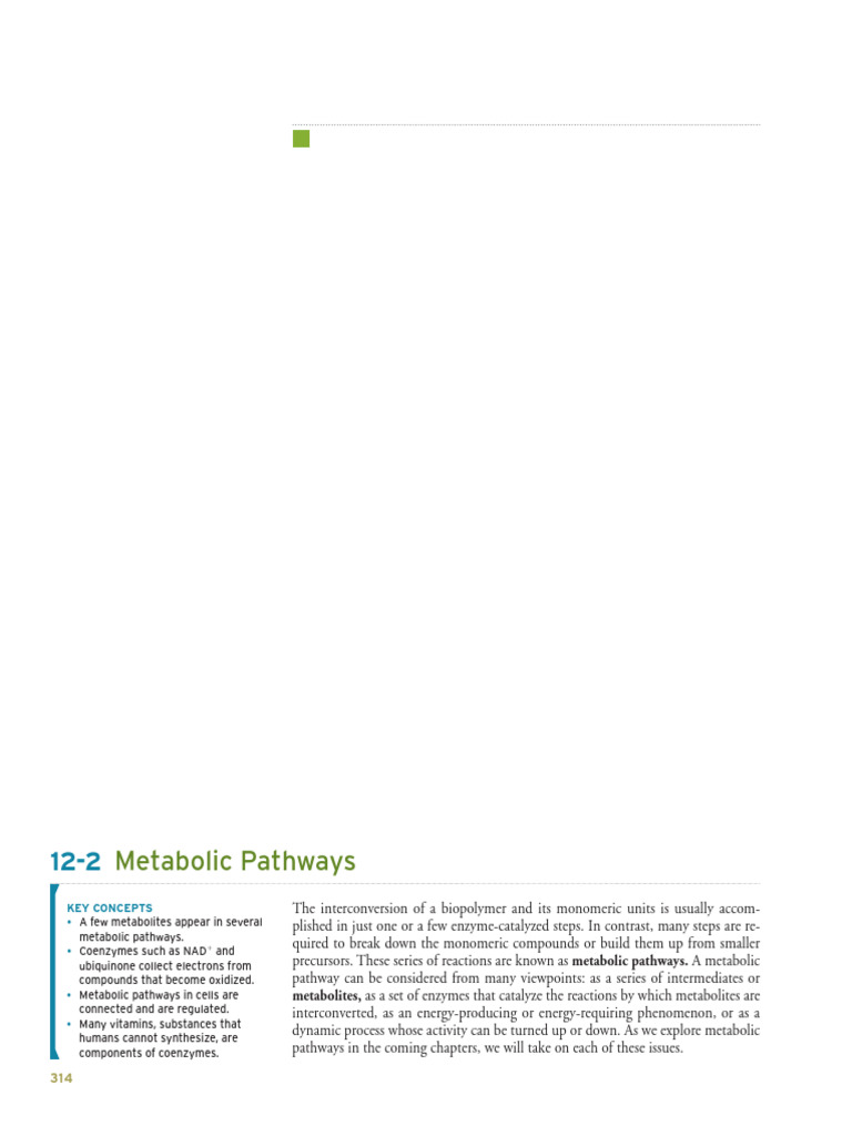 Handout 9 Metabolism Chapter | PDF | Metabolism | Metabolic Pathway