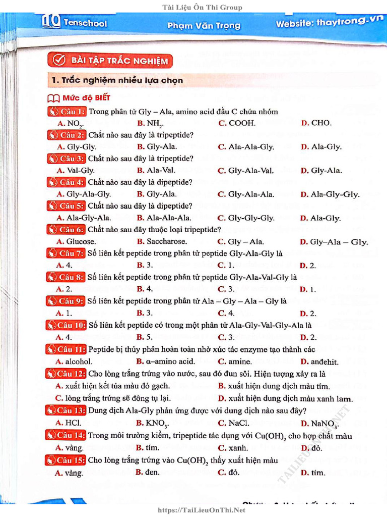 Petid Protein Ezyme | PDF