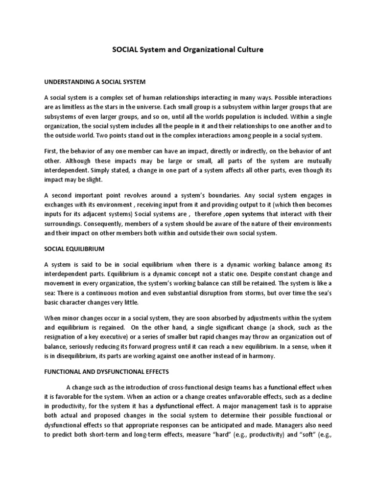 Social Systems and Organizational Culture | PDF | System ...