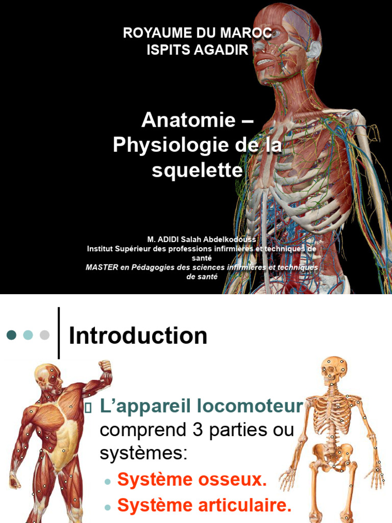 Anatomie et Physiologie du Squelette | PDF | Articulation (anatomie ...
