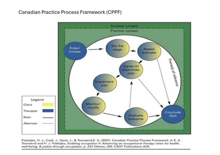 Canadian Practice Process Framework (CPPF) | PDF