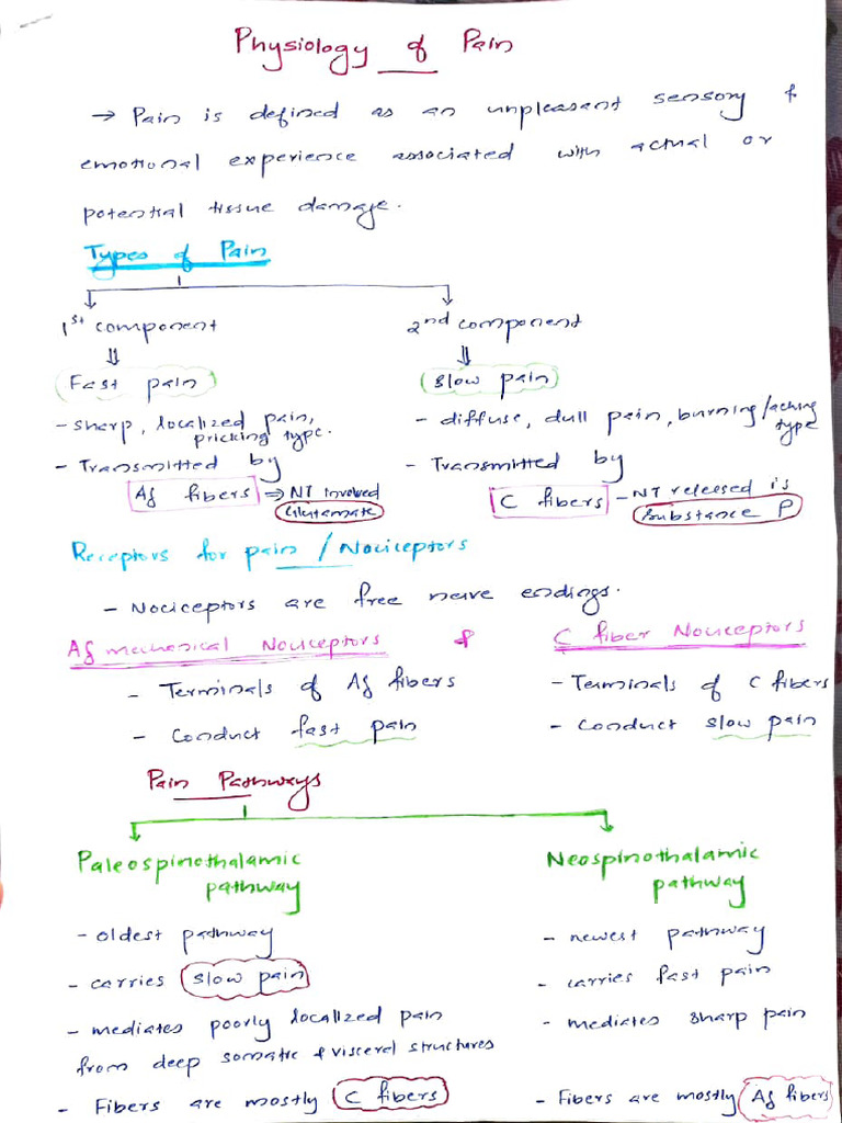 Understanding Pain Transmission Mechanisms | PDF