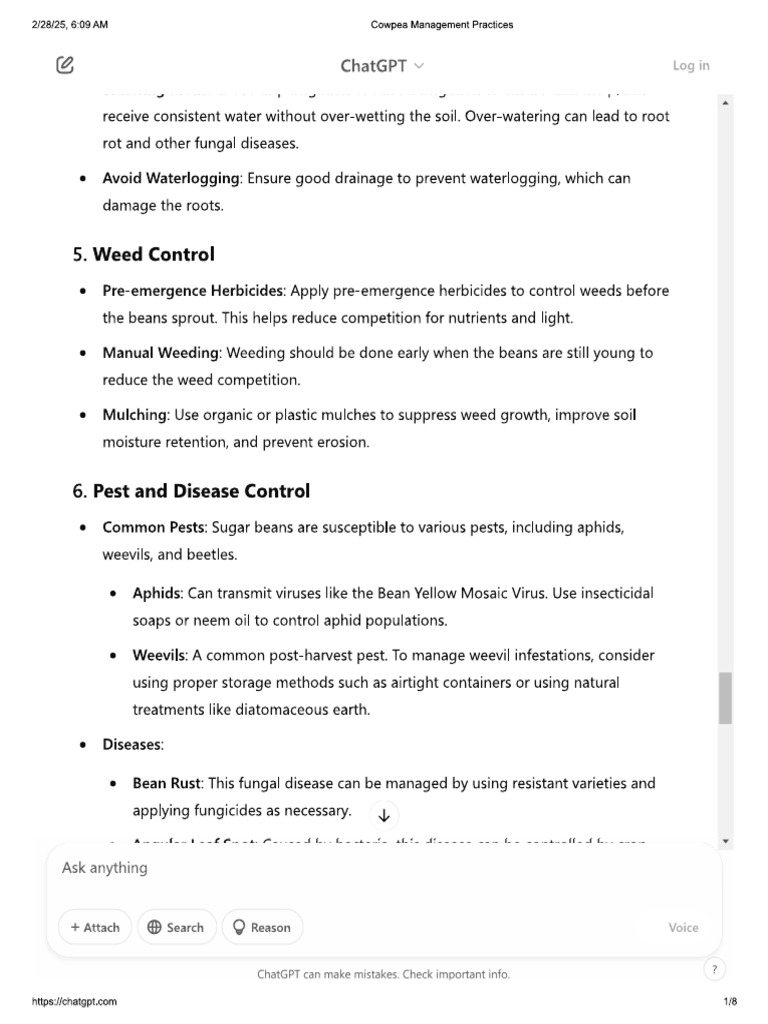 S Beans | PDF