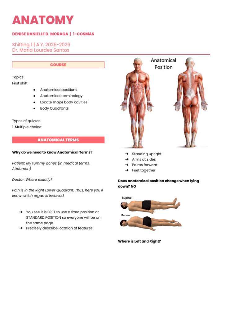 Understanding Anatomical Positions | PDF | Anatomical Terms Of Location ...
