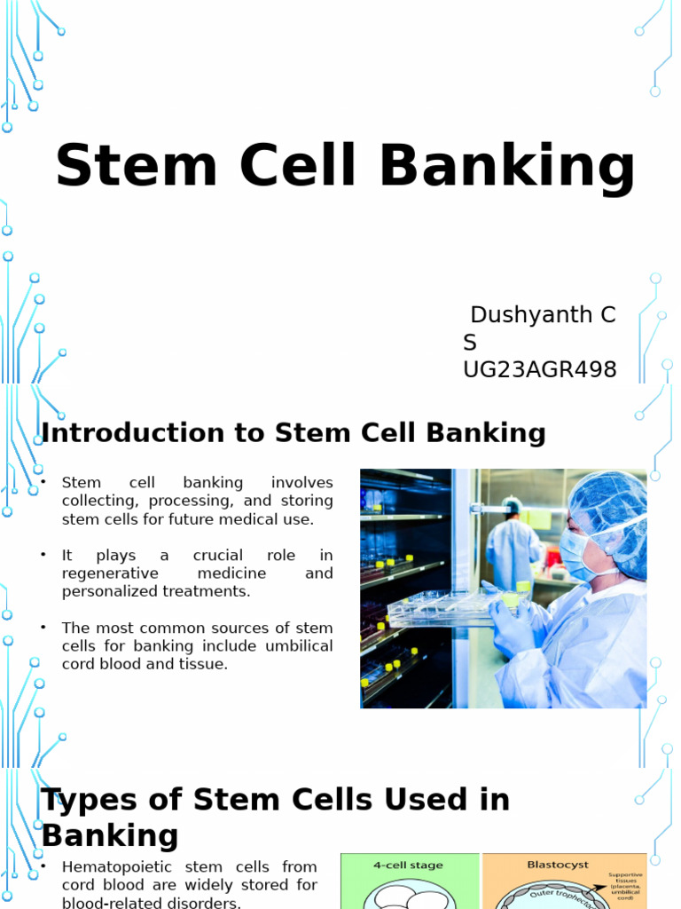 Understanding Stem Cell Banking Basics | PDF | Stem Cell | Medical ...