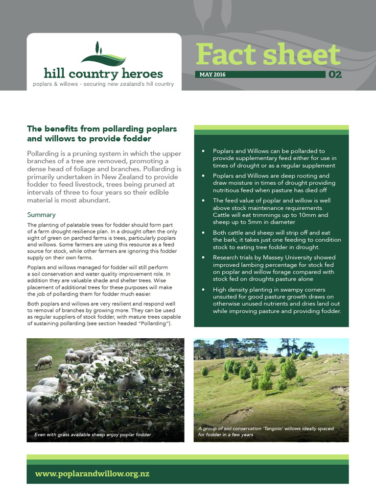 Pollarding Poplars and Willows for Fodder | PDF | Trees | Fodder