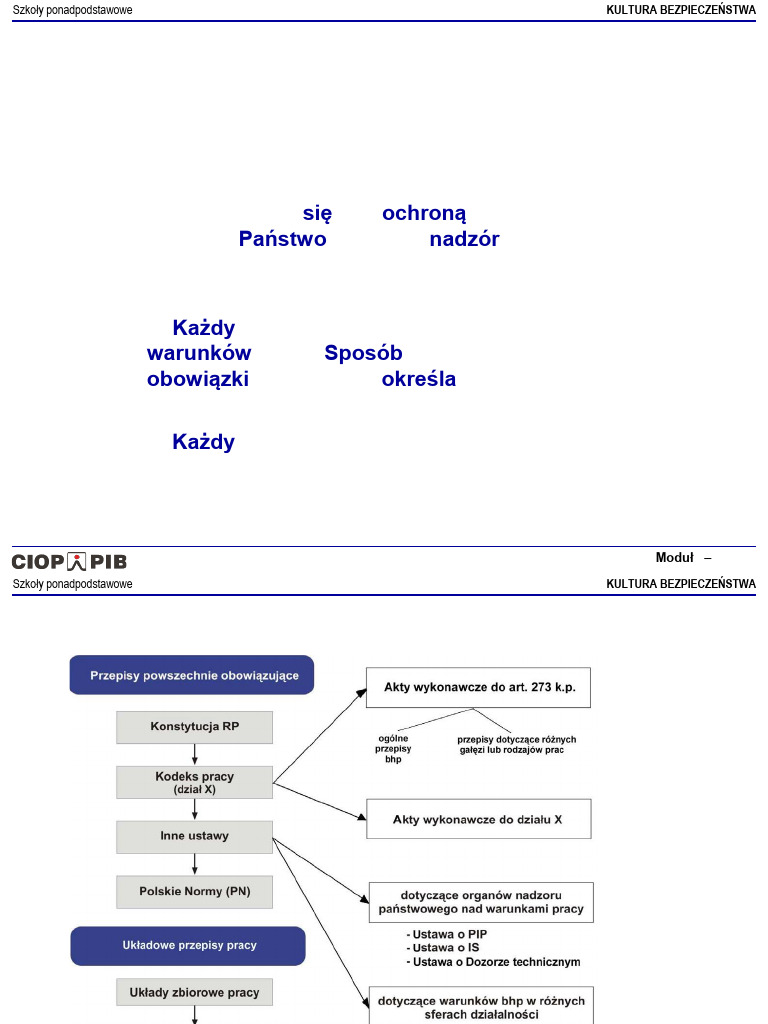 Pgim Modul 1 Lekcja 1 | PDF