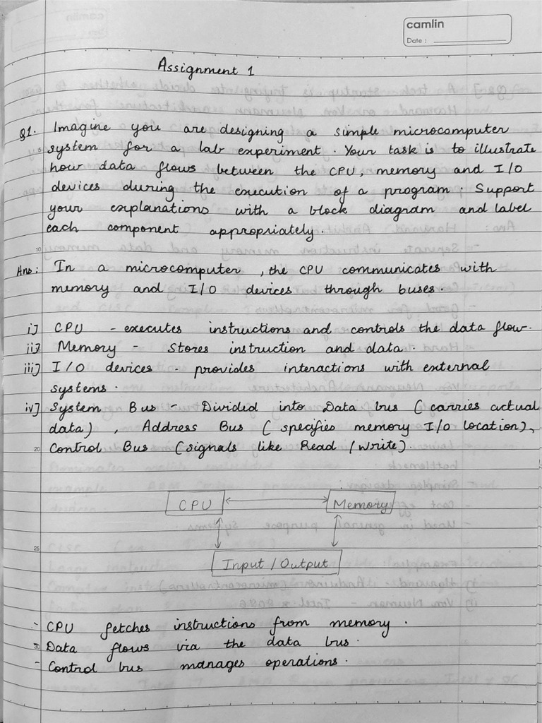 PAI Assignment 1 - 27 | PDF
