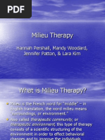 Milieu Therapy