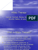 Milieu Therapy