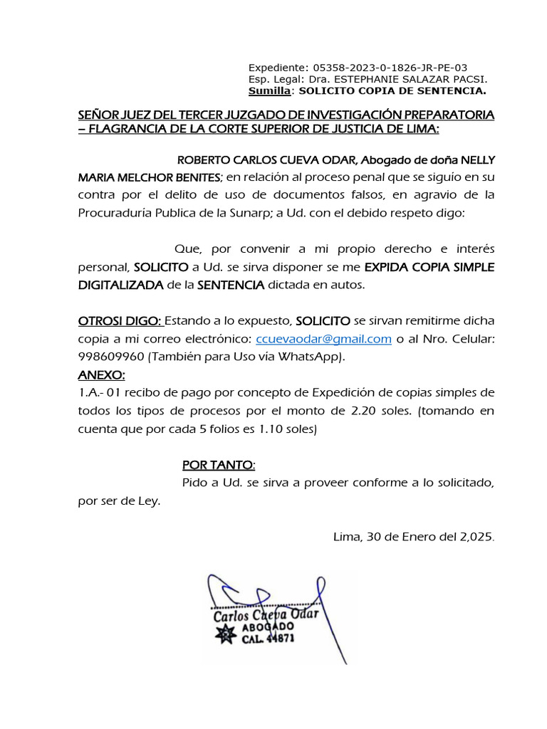 Solicito Copia de Sentencia - Exp. 5358-2023 | PDF