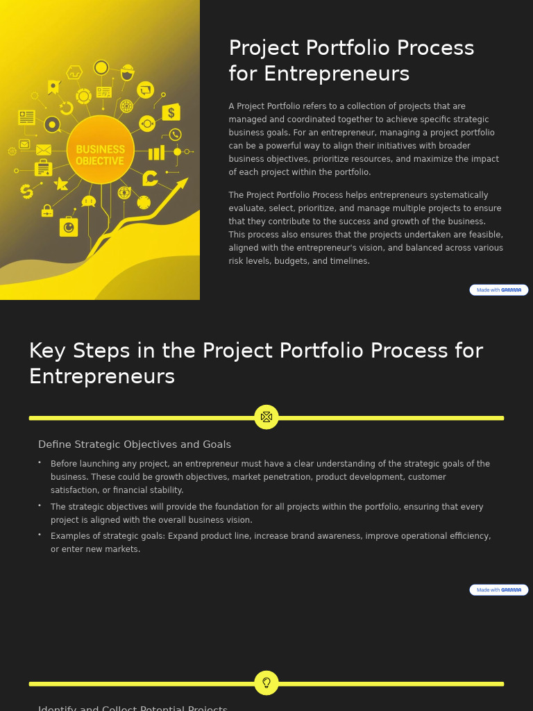 Project Portfolio Process for Entrepreneurs | PDF | Entrepreneurship | Goal