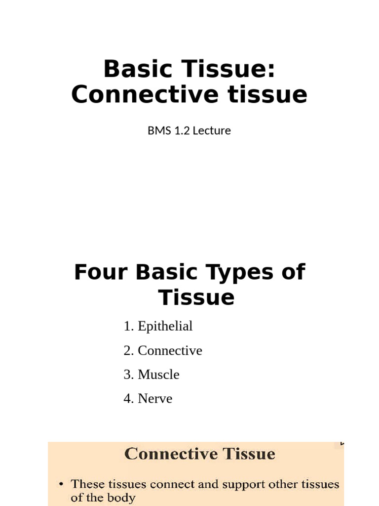MAO Basic Connective Tissue - 074744 | PDF | Connective Tissue | Collagen