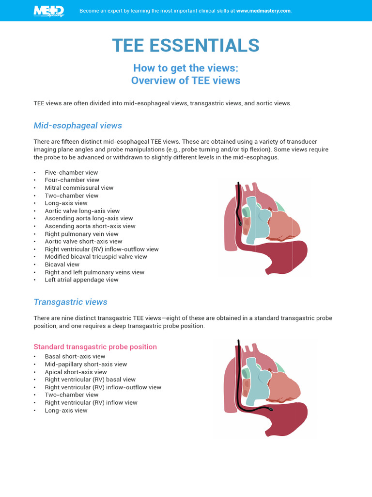 TEE Views: Mid and Transgastric Techniques | PDF | Heart Valve | Aorta