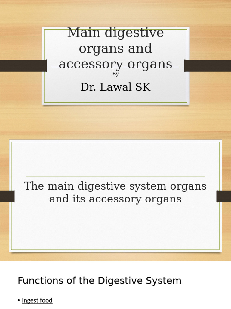 Digestive System: Organs & Functions | PDF | Human Digestive System ...