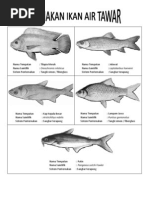 KHB PERTANIAN TING 2 - Ternakan Ikan Air Tawar