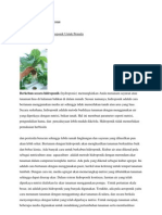 Download hidroponikbyNafiriFirmansyahSN92093731 doc pdf