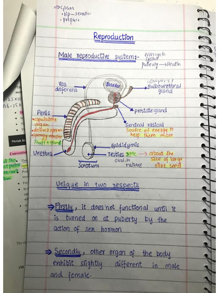 Reproduction (Biology) Notes by Shiza Bukhari | PDF