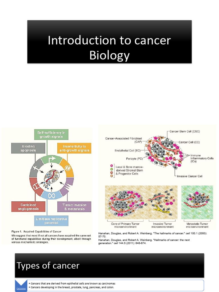 Overview of Cancer Types and Biology | PDF