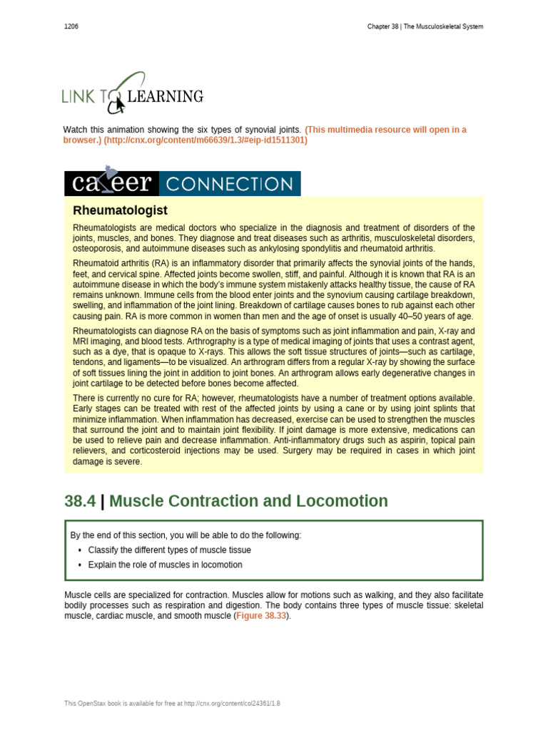 Types of Joints and Muscle Function | PDF | Muscle Contraction ...