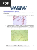 Download Microbiologia-pseudomonas y Burkholderia by QUIMICO CLINICO WILLIANS SANCHEZ SN9209613 doc pdf
