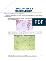 Microbiologia-Pseudomonas y Burkholderia