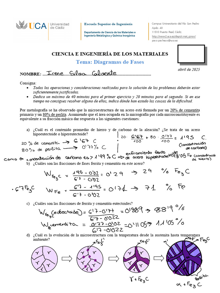 Análisis de Diagramas de Fases en Aleaciones | PDF | Hierro | Rieles