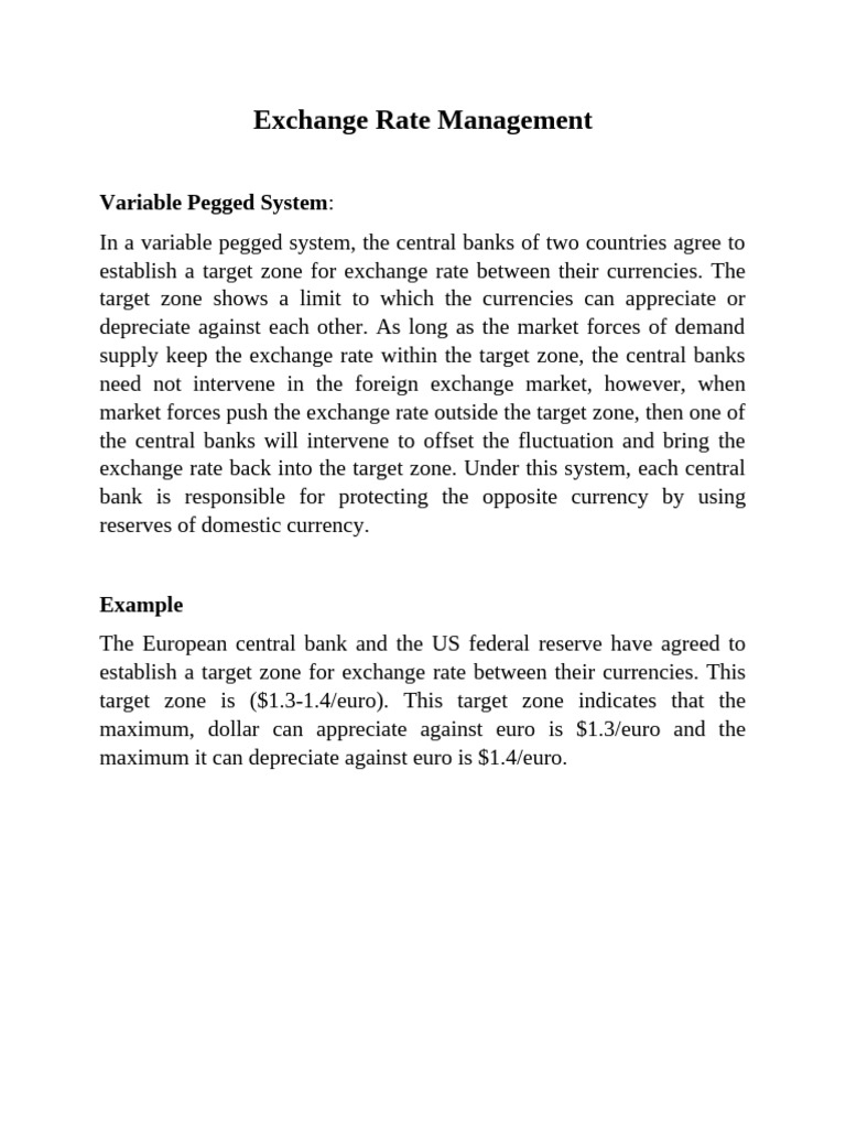 Exchange Rate Management | PDF | Exchange Rate | Euro