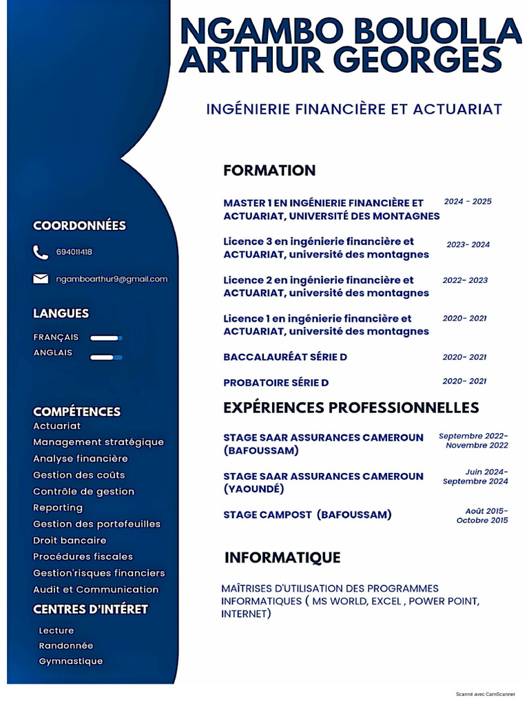 CV Ngambo Bouolla Arthur | PDF