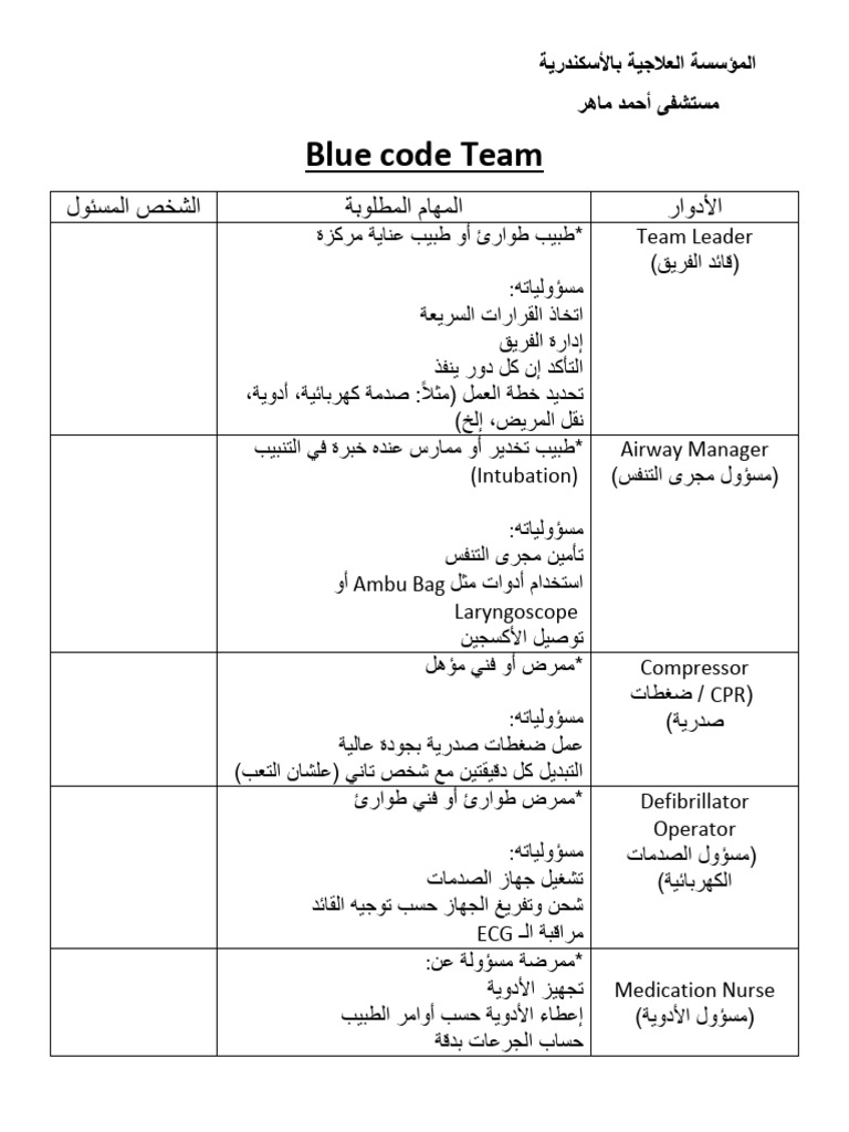 Blue Code Team | PDF