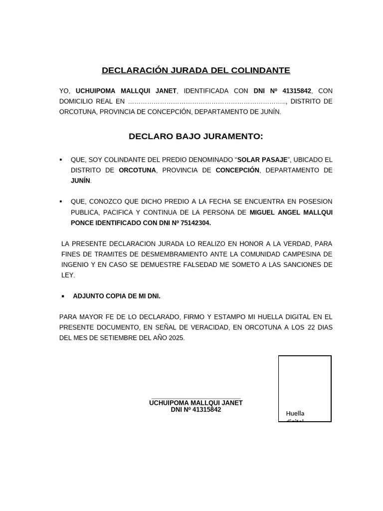 Declaración Jurada de Colindante en Junín | PDF