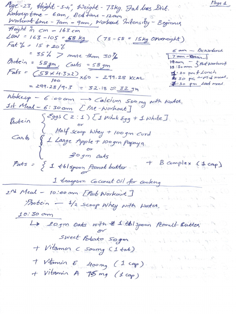 DietPlan F H5.4 W73 | PDF
