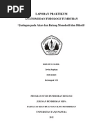 Download Laporan Anfistum  Jaringan Pada Akar Dan Batang Monokotil Dan Dikotil  by Irwin Septian SN92104624 doc pdf