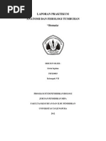 Download Laporan Anfistum  STOMATA  by Irwin Septian SN92104651 doc pdf