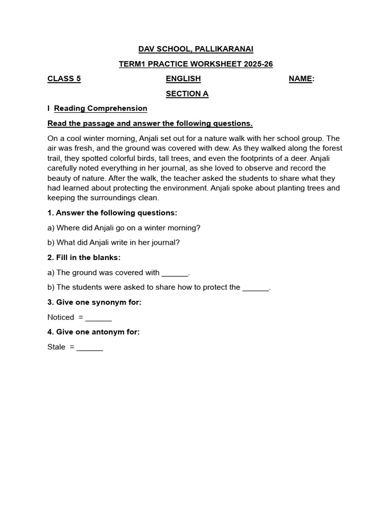Class 5 English Practice Worksheet 2025-26 | PDF | Pronoun | Verb