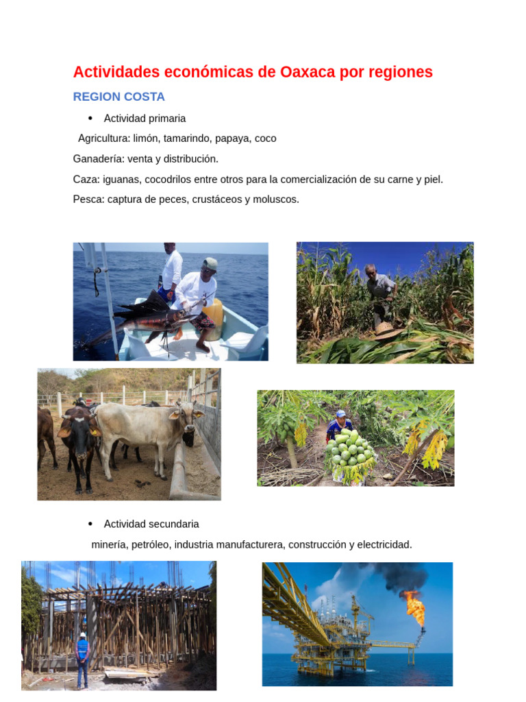Actividades Económicas en Oaxaca | PDF