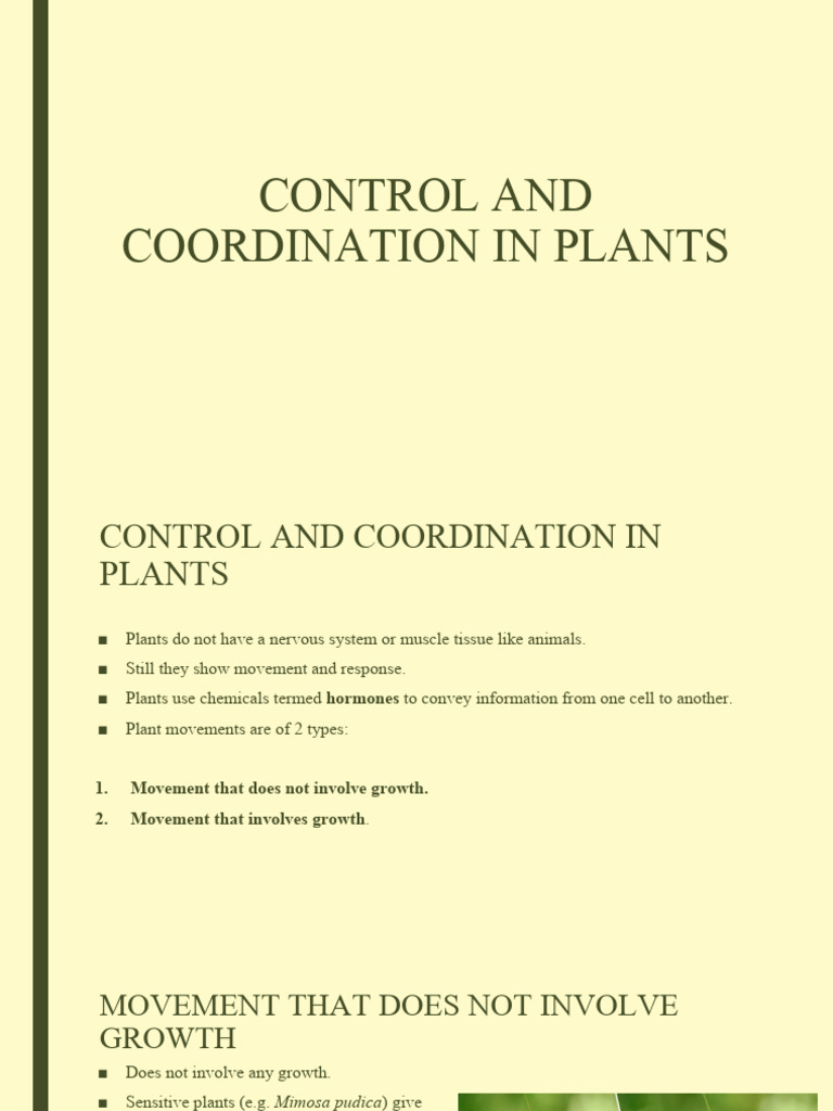 Plant Movement and Hormonal Coordination | PDF | Hormone | Endocrine System