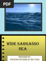 Download Wide Sargasso Sea Dayang by Dee Vignette SN92106505 doc pdf