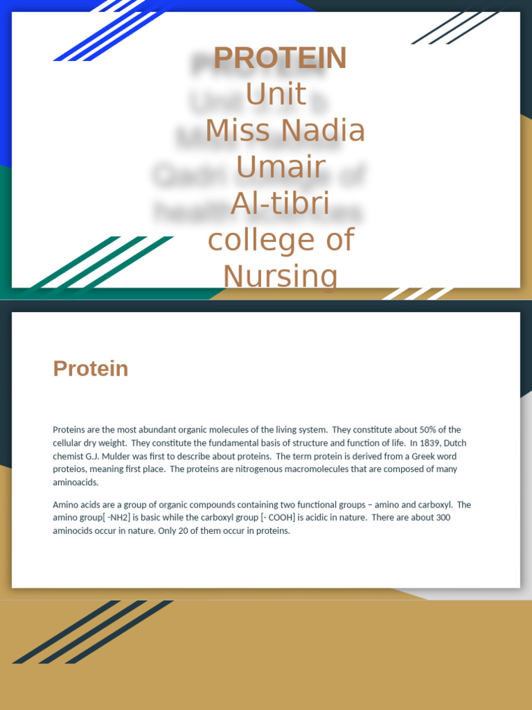 Understanding Proteins and Amino Acids | PDF | Beta Sheet | Amino Acid