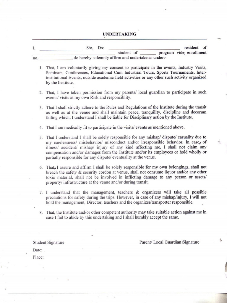 Undertaking | PDF