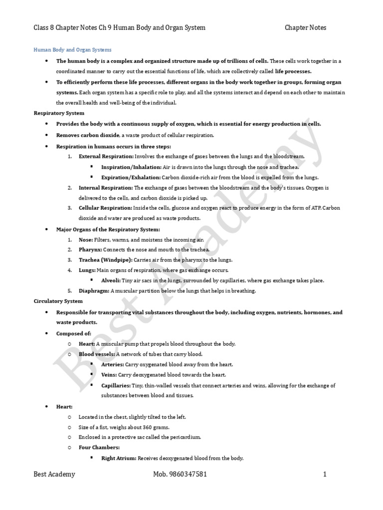 Class 8 Chapter Notes CH 9 Human Body and Organ System | PDF ...
