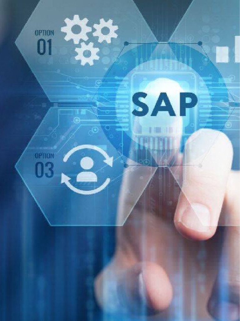 Introduction to SAP ERP Implementation | PDF | Business Process | Databases